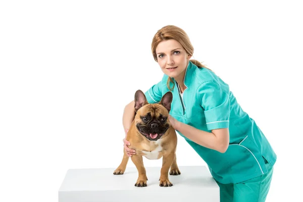 Unga Kvinnliga Veterinären Står Med Fransk Bulldog Och Tittar Kameran — Stockfoto