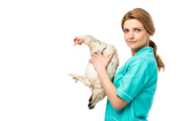 side view of veterinarian in uniform holding chicken isolated on white
