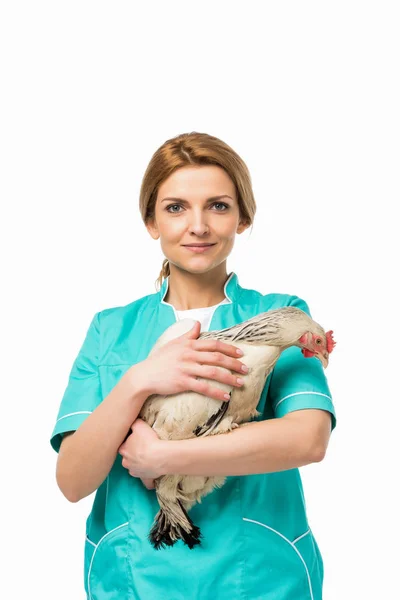 Retrato Veterinário Uniforme Segurando Frango Isolado Branco — Fotografia de Stock