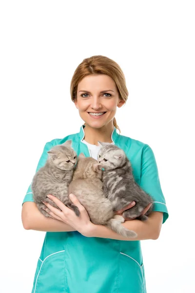 Veterinário Segurando Gatinhos Adoráveis Sorrindo Para Câmera Isolada Branco Imagem De Stock