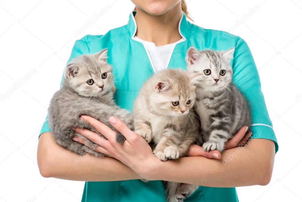 Veterinarian