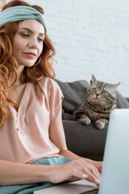 güzel ve genç birbayan yakınındaki tekir kedi evde otururken dizüstü bilgisayar ile çalışma