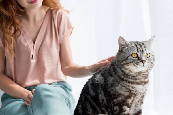 Cropped Shot Young Woman Petting Cute Tabby Cat While Sitting — Stock Photo, Image