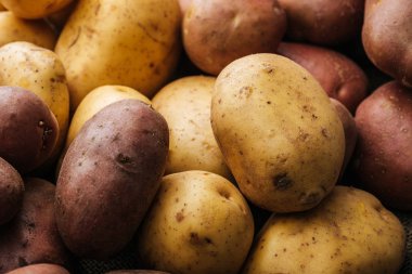 organic raw potatoes on white background clipart