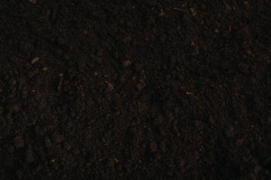 top view of brown ground background clipart