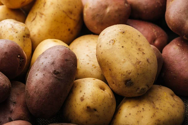 Batatas Cruas Orgânicas Sobre Fundo Branco — Fotografia de Stock