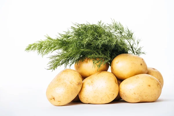 Rauwe Aardappelen Met Verse Dille Witte Achtergrond — Stockfoto