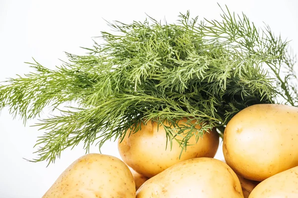 Rohe Kartoffeln Mit Frischem Dill Isoliert Auf Weißem Hintergrund — Stockfoto