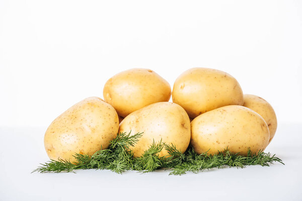 raw potatoes with fresh dill on white background
