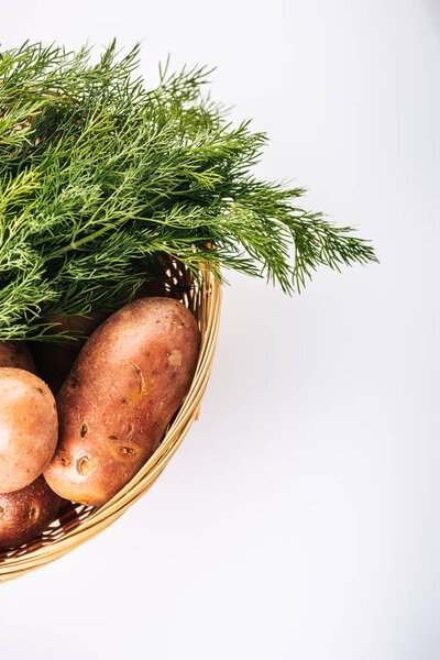 top view of raw potatoes with fresh dill in wicker basket isolated on white