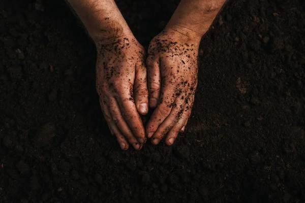 Kirli Çiftçi Ellerinin Yer Üzerindeki Görüntüsü — Stok fotoğraf