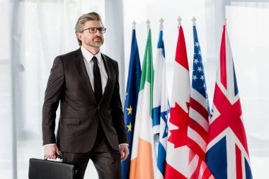 Yakışıklı sakallı diplomat bayrakların yanında evrak çantası tutuyor. 