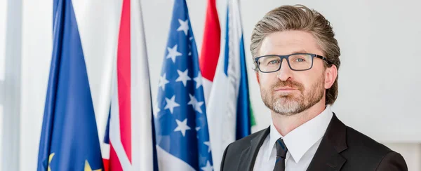 Tiro Panorâmico Diplomata Bonito Óculos Olhando Para Câmera Perto Bandeiras — Fotografia de Stock