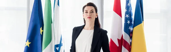 Panoramic Shot Attractive Diplomat Standing Flags — Stock Photo, Image