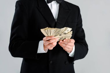 Takım elbiseli zengin bir adamın, gri banknotlarla izole edilmiş bir şekilde elinde tuttuğu... 