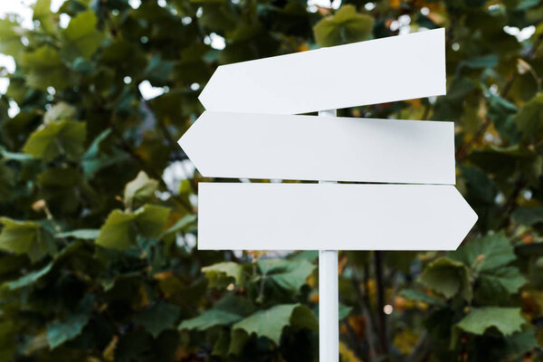  white and empty directional arrows near bush with green leaves 