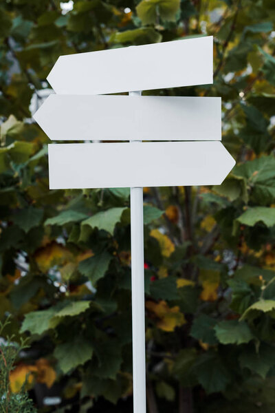 white and empty directional arrows near green leaves 