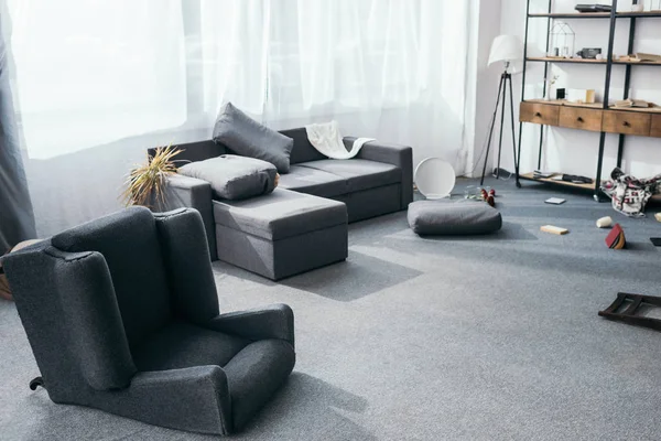 Szara Sofa Roślina Poduszki Fotel Okradzionym Apartamencie — Zdjęcie stockowe