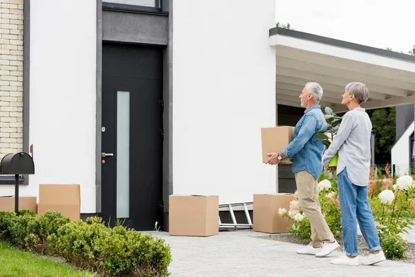 Mature Man Holding Box Woman Holding Plant New House — Stock Photo, Image