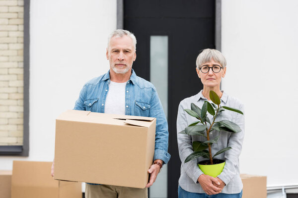mature man holding box and woman holding plant near new house 