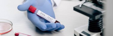 panoramic shot of genetic consultant holding test tube with dna test  clipart