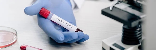 Panoramabild Genetisk Konsult Som Håller Provrör Med Dna Test — Stockfoto