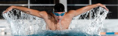 panoramic shot of sportsman swimming butterfly stroke in swimming pool   clipart