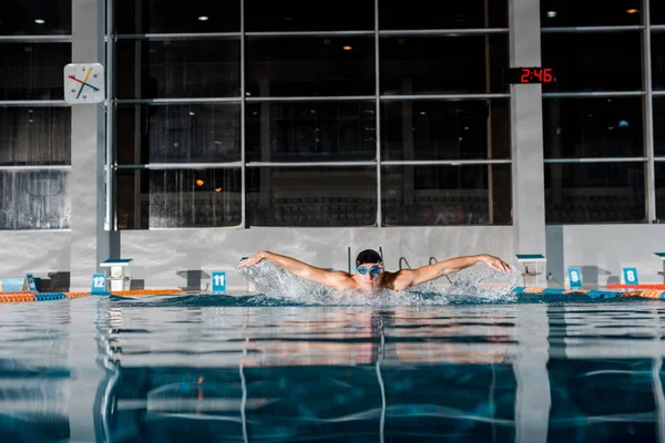 Schöne Schwimmerin Schwimmt Schmetterlingsschlag Schwimmbad — Stockfoto