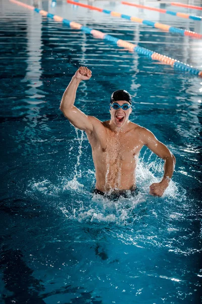 Ενθουσιασμένος Και Μυώδης Κολυμβητής Γιορτάζει Θρίαμβο — Φωτογραφία Αρχείου