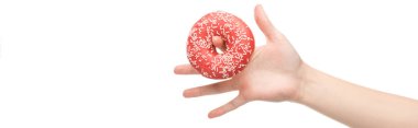 Beyaz üzerinde izole edilmiş donut tutan kadının panoramik görüntüsü.