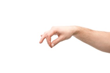 cropped view of man showing hold gesture isolated on white clipart