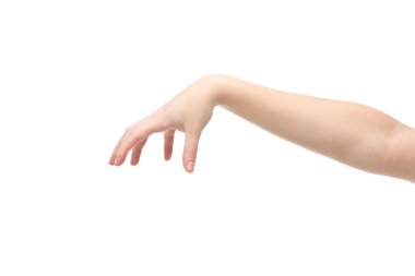 cropped view of woman showing hold gesture isolated on white clipart