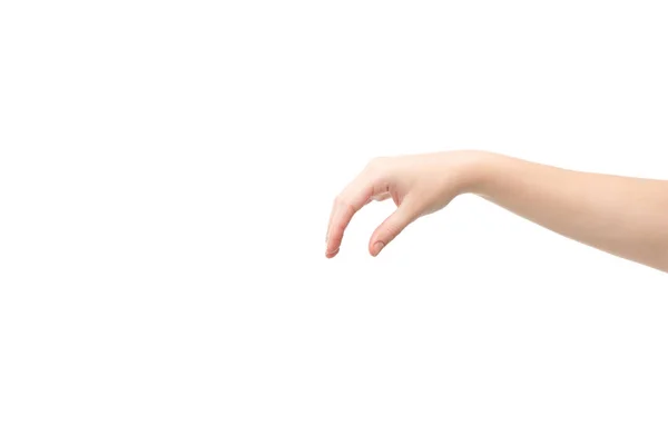 Cropped View Woman Showing Hold Gesture Isolated White — Stock Photo, Image