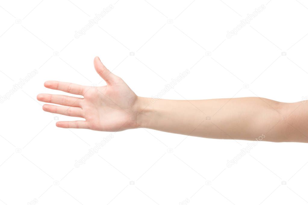 cropped view of woman showing palm isolated on white