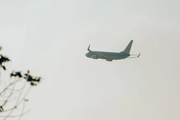 Selektive Fokussierung Des Flugzeugs Bei Bewölktem Himmel Mit Pflanzen Auf — Stockfoto