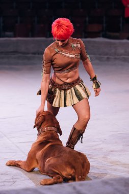 KYIV, UKRAINE - NOVEMBER 1, 2019: Attractive handler performing with dogue de bordeaux in circus clipart