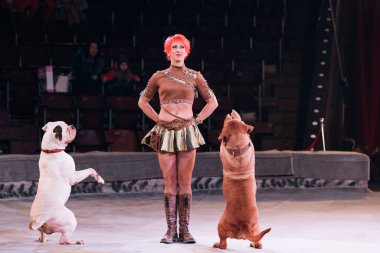 Kyiv, Ukrayna - 1 Kasım 2019: Gülen idareci sirkte Dogue de Bordeaux ile numara yapıyor 