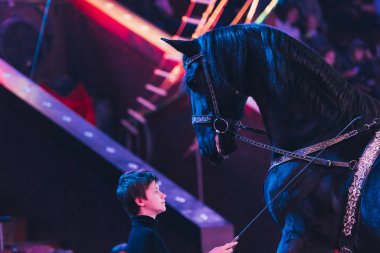 KYIV, UKRAINE - NOVEMBER 1, 2019: Side view of boy with stick looking at horse in circus clipart