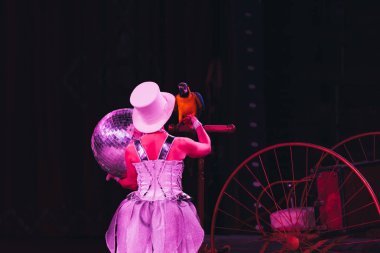 KYIV, UKRAINE - NOVEMBER 1, 2019: Back view of handler performing trick with ara parrot in circus  clipart