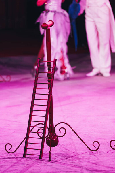 Selective focus of ladder with stand and artists with ara parrot in circus