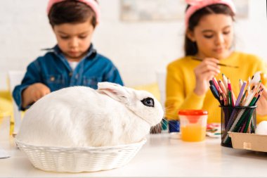 Paskalya yumurtası boyayan sevimli çocukların özenli odak noktası Hasır 'daki beyaz tavşanın yanında otururken