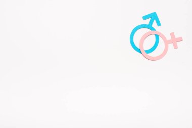 Beyaz, cinsel eşitlik kavramına izole edilmiş mavi ve pembe cinsiyet sembolleri 