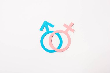 Beyaz, cinsel eşitlik kavramına izole edilmiş mavi ve pembe cinsiyet sembolleri 