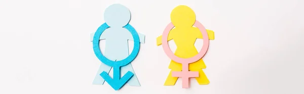 Plano Panorámico Papel Colorido Cortar Personas Cerca Signos Género Aislados — Foto de Stock