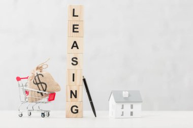 Oyuncak alışveriş arabasının yanında kiralık harfleri olan ahşap küplerin yanında dolar çantası, karton ev modeli ve beyaz kalemler var. 