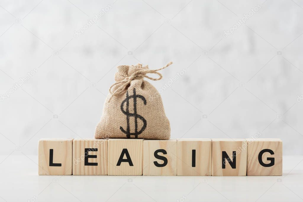 dollar bag with leasing lettering on wooden cubes on white 