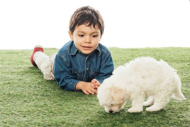 Gülümseyen çocuk beyaz bir köpek yavrusuna bakıyor. 