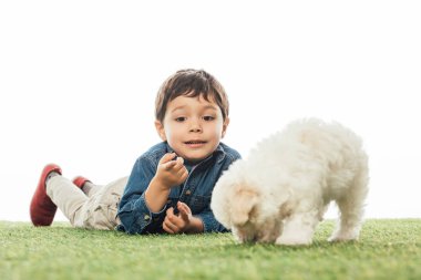 Beyaz parmağını gösteren gülümseyen çocuk ve beyaz çimenlerin kokusunu alan Havan köpeği. 
