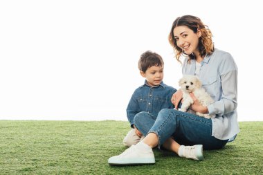 smiling mother holding Havanese puppy and son looking at it isolated on white