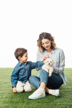 smiling mother holding Havanese puppy and son stroking it isolated on white